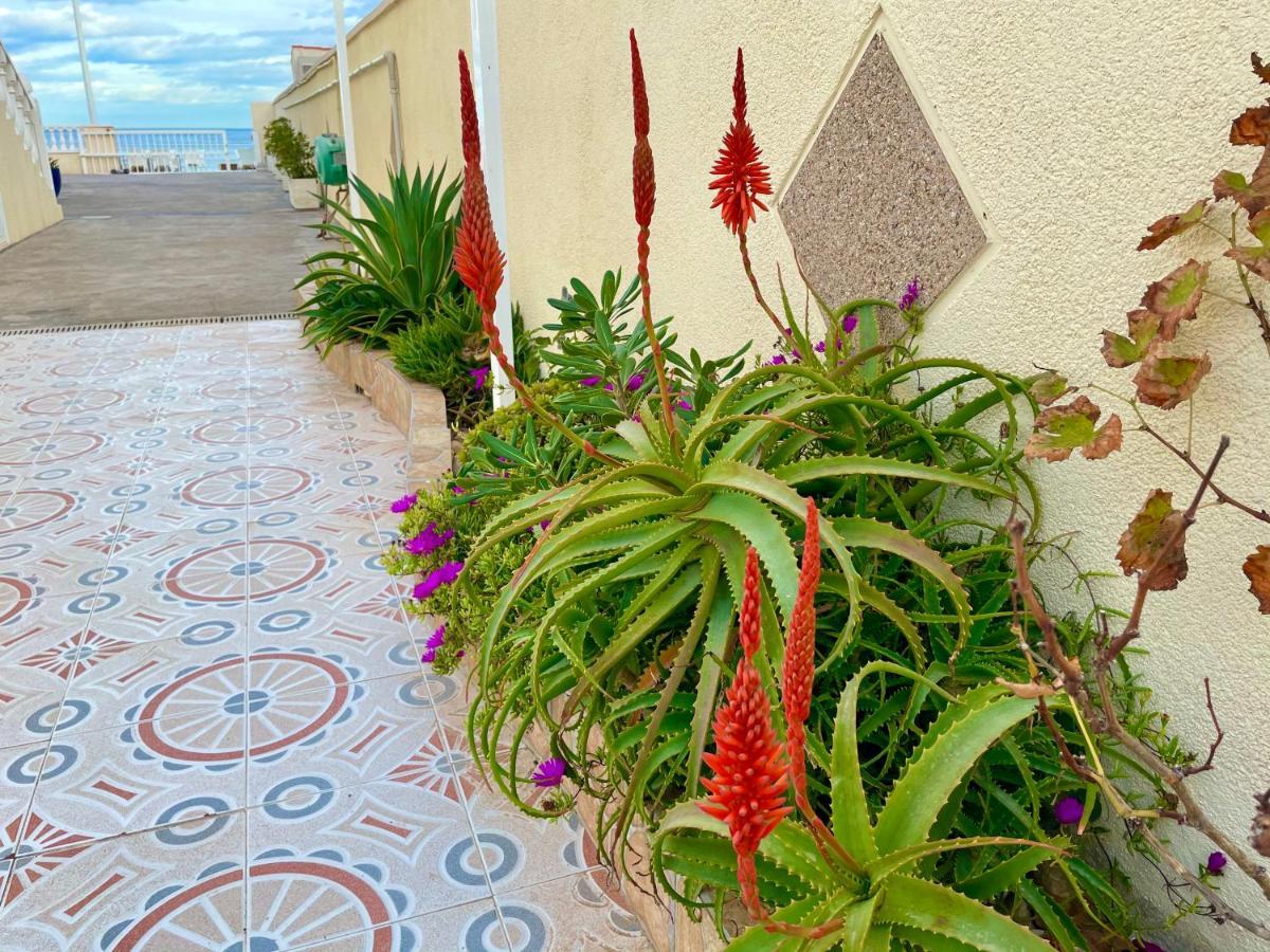 Royal Beach House Vista Mar La Mata  Luaran gambar